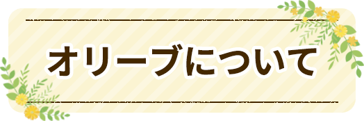 トリミングサロン　オリーブ｜オリーブについて