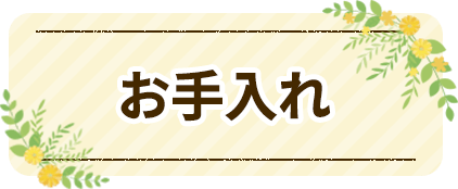 トリミングサロン　オリーブ｜お手入れ