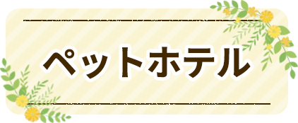 トリミングサロン　オリーブ｜ペットホテル