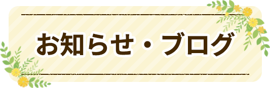 トリミングサロン　オリーブ｜お知らせ・ブログ