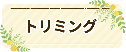 トリミングサロン　オリーブ｜トリミング